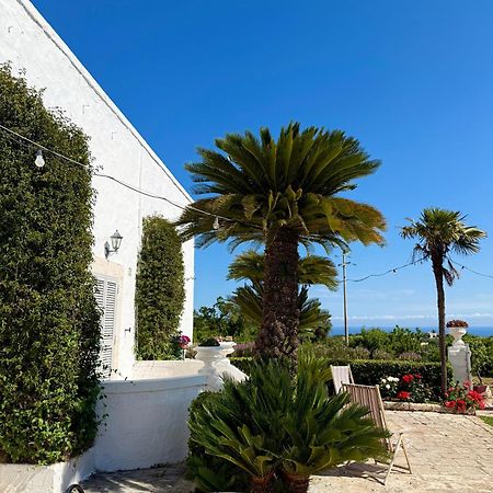 B&B Nonno Ciccio Monopoli Eksteriør bilde