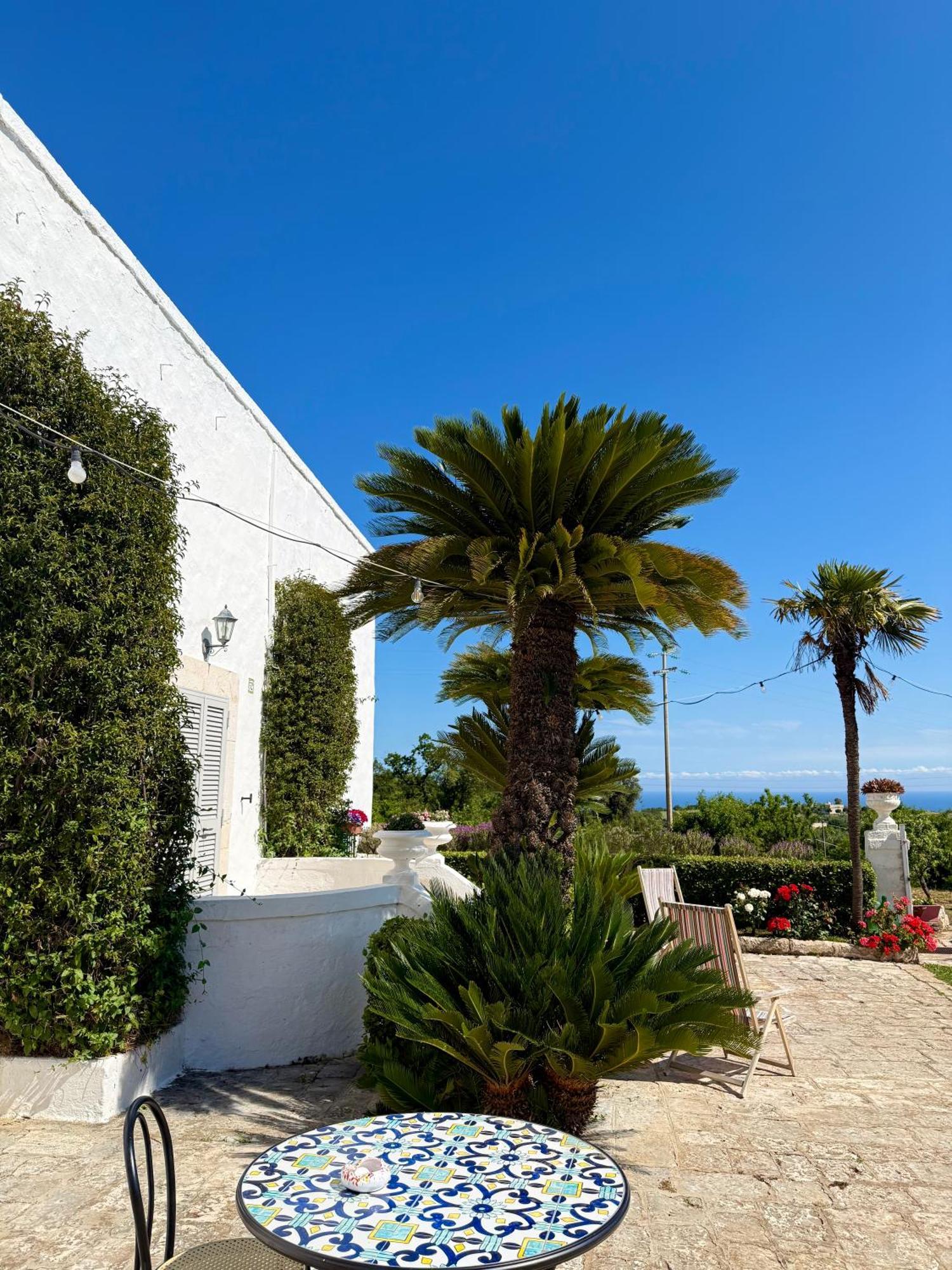B&B Nonno Ciccio Monopoli Eksteriør bilde