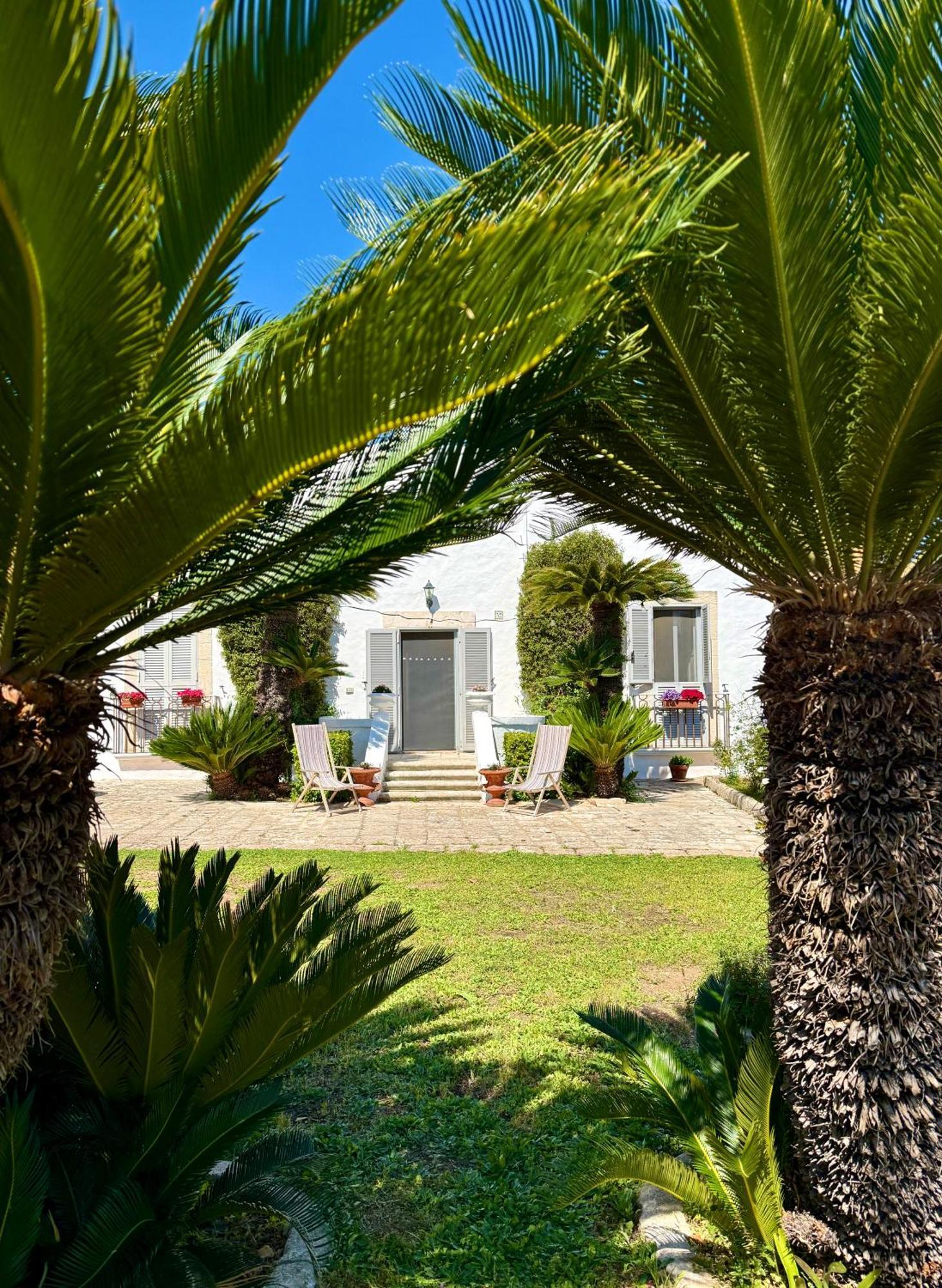 B&B Nonno Ciccio Monopoli Eksteriør bilde